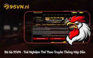 Đá Gà 95VN - Trải Nghiệm Thể Thao Truyền Thống Hấp Dẫn