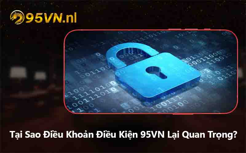 Tại Sao Điều Khoản Điều Kiện 95VN Lại Quan Trọng?