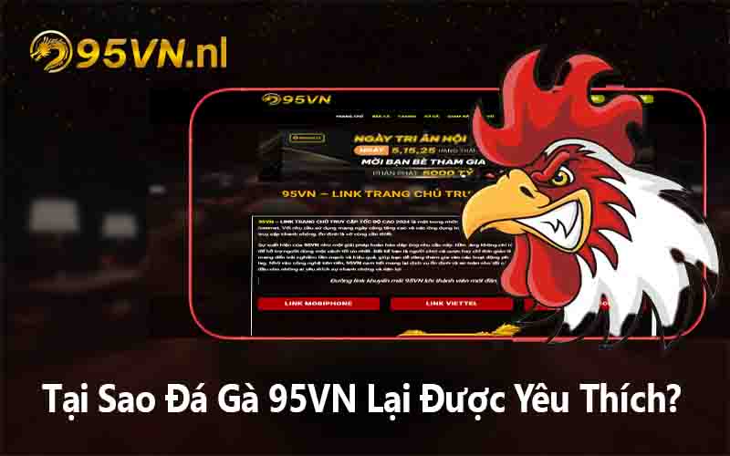 Tại Sao Đá Gà 95VN Lại Được Yêu Thích?